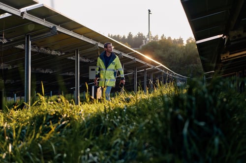 Ein Bayernwerk-Techniker läuft im Sonnenschein durch eine Photovoltaik-Freiflächenanlage