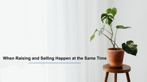 Minimalist image of a plant with text reading "When Raising and Selling Happen at the Same Time."