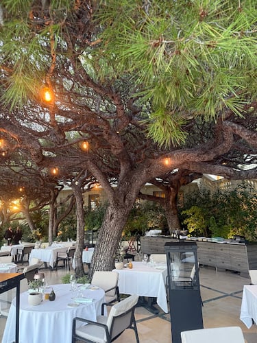 Two people enjoying drinks and sushi on an outdoor patio at Le Bar, surrounded by lush greenery
