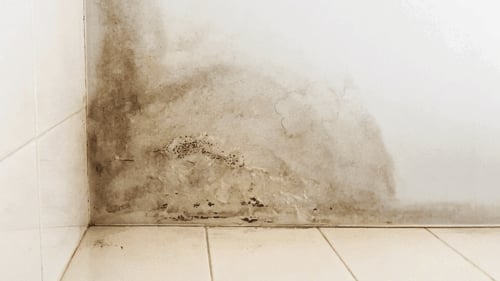 Water damage doesn’t wait.