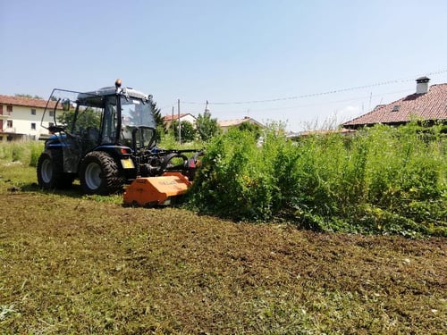 Pulizie Nadia - Pulizie e Giardinaggio Foto Pgol