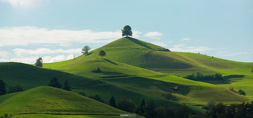 Hirzel