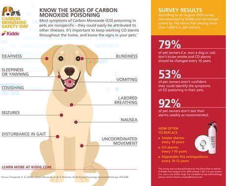 Pet carbon monoxide safety tips