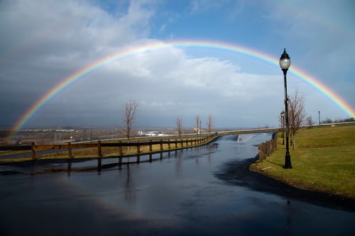 Calming view overlooking the Albany Skyline.