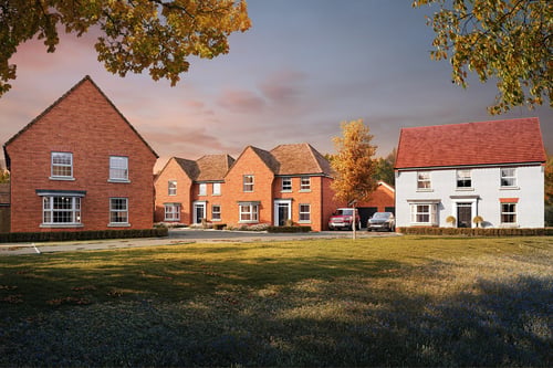 External autumnal cgi of forest walk