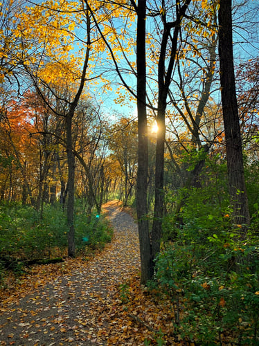 Fall view of Woodcrest walking trails