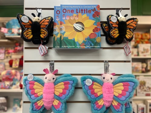 Henry Bear's Park Arlington, MA