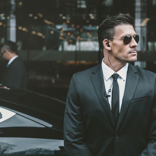 VIP Commander Private Security Patrol - Personal protection (bodyguards)