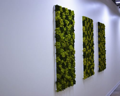 Moss art walls Charlotte, NC