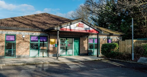 Busy Bees in Basingstoke - Gallery Photo