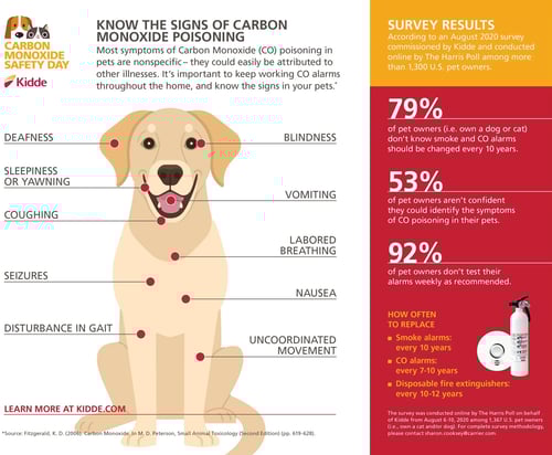 Infographic showing the signs in a visual format.