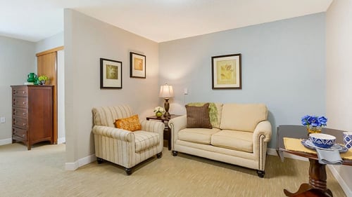 Brookdale Canton Apartment Living Room