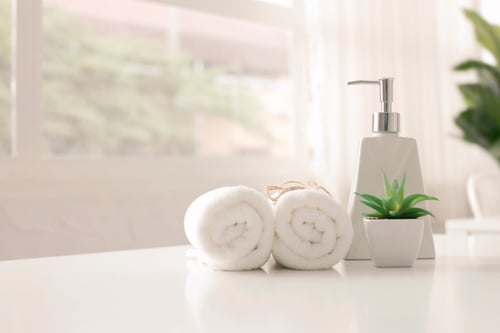 Two towels rolled up next to a tiny green plant and white soap dispenser.