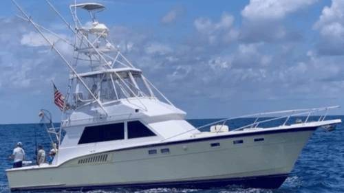 white charter boat at sea