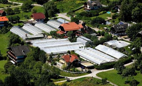 Gärtnerei Pichler-Koban 9220 Velden am Wörther See