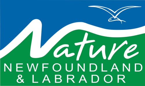 Nature NL logo