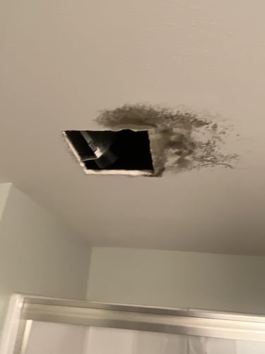 Why Basement Mold Is a Serious Problem