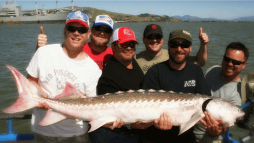 group of clients holding a giant fish