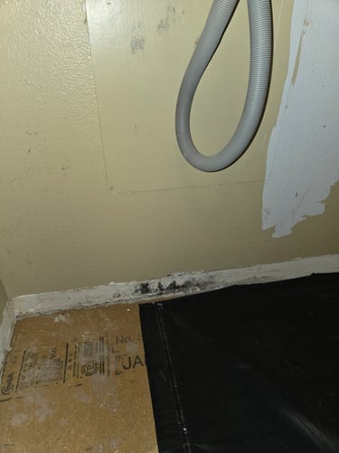 Mold Remediation Restoration 1 Reno-Tahoe