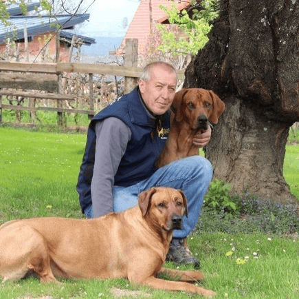 Hundepension Stelzer in Wolfau