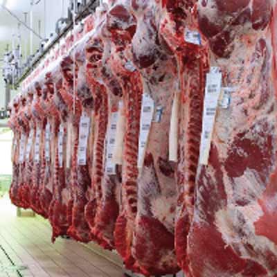 Centro Carne Srl Carne Bovina Foto Web 2