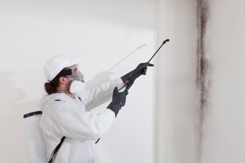mold remediation services montgomeryville