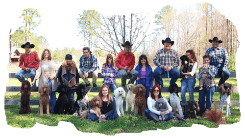 family posing with Standard Poodles