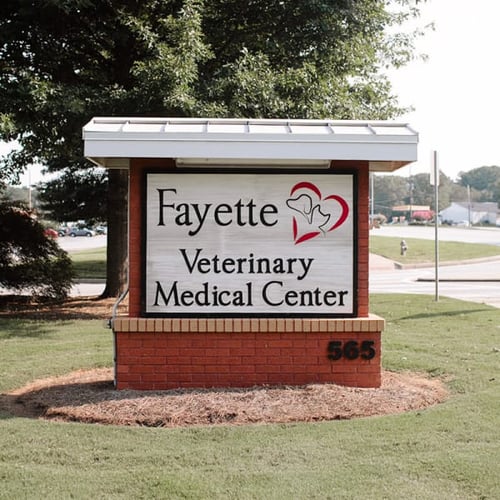 Fayette Veterinary Medical Center