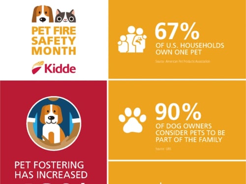 Pet Fire Safety Month Flyer