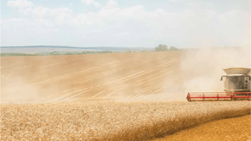 A combine harvester threshes golden wheat in a sunlit field, with dust rising against a clear blue sky.