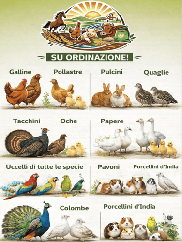 Terre del Sud Consorzio Agrario