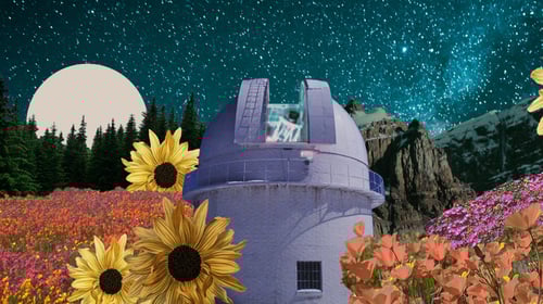 Flagstaff Mall serves Flagstaff, AZ