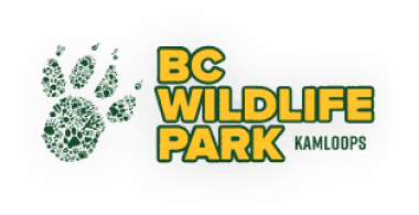 BC Wildlife Park