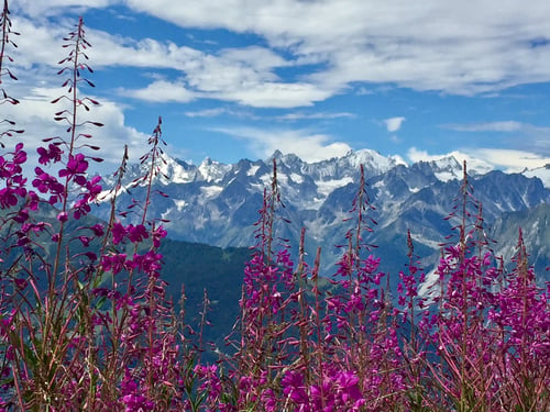 verbier val de bagnes valais wallis martigny switzerland schweiz suisse