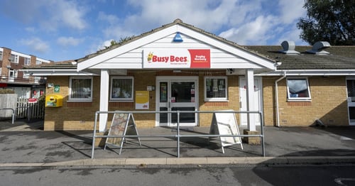 Busy Bees at Rugby - Gallery Photo