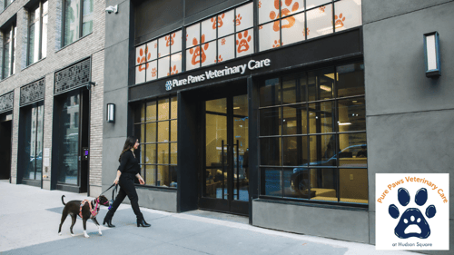 Pure Paws Veterinary Care of Hudson Square Entrance
