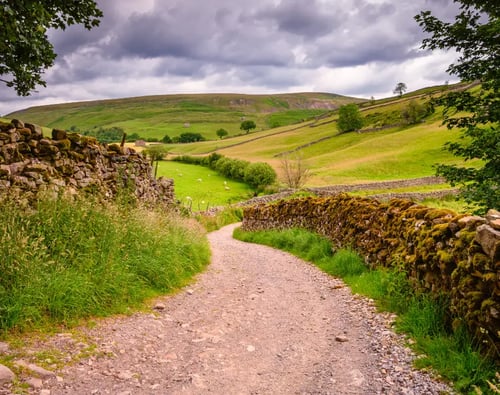Knight Frank Yorkshire Estate Agents - office page banner image