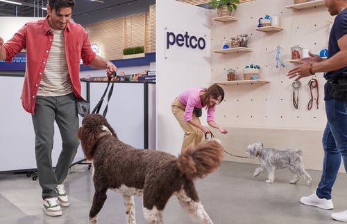 dogs at a group training class learning new tricks