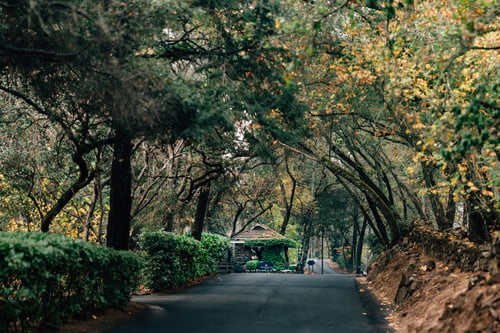 Small wooden building in the distance, on a road surrounded by bushes and trees starting to turn yellow for autumn.