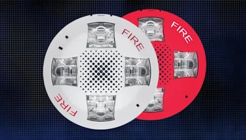 NEW Genesis High Candela