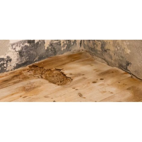 Water Damage Restoration 1 Reno-Tahoe