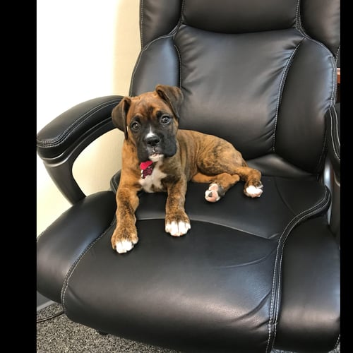 Sascha is here waiting for you to come say HI.