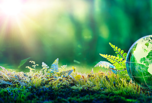 A vibrant, green globe rests in lush grass, surrounded by small plants under a bright sunbeam, symbolizing harmony with nature and sustainability.
