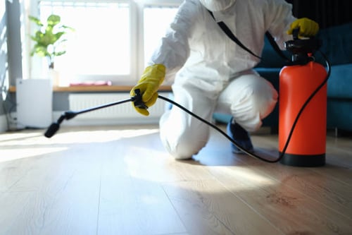 Home Pest Control Service Indianapolis, IN