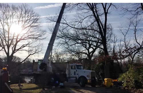 Arundel Tree Service, based in Pasadena, MD, is your go-to tree removal service provider. With a strong commitment to customer satisfaction and unmatched expertise in tree care, we offer professional and reliable services at competitive prices. Our skilled team specializes in safe and efficient tree removal to enhance the beauty and safety of your property.

Trust Arundel Tree Service for all your tree removal needs in Pasadena, MD. Our dedicated team ensures top-notch service with a focus on quality workmanship and customer experience. Whether you need emergency tree removal or routine maintenance, our experts are ready to assist you with precision and care. Contact us today for expert tree services that you can rely on!