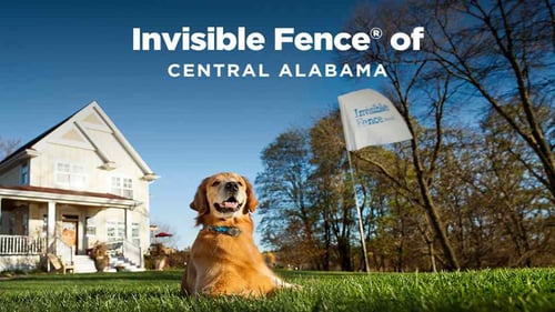 Invisible Fence of Central Alabama