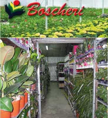 Boscheri Foto Hp Pgol 400