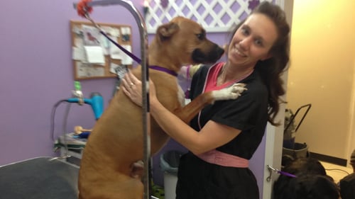 A Barking Boutique worker hugging a dog
