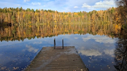 Halimasjärven uimaranta.