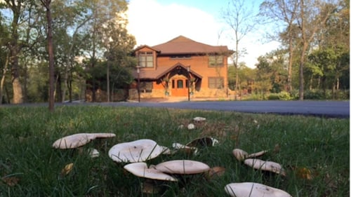 building at the retreat